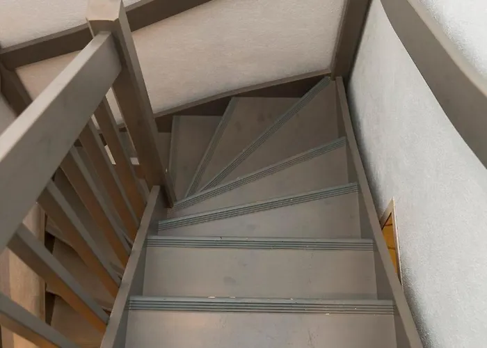 Pikkukarhu 6 Visit * 列维